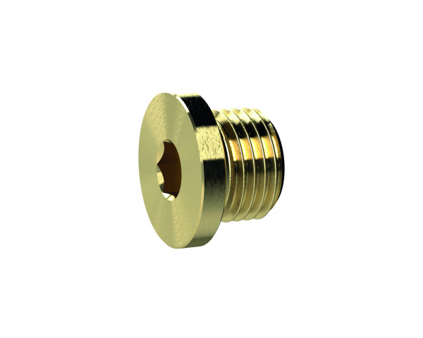Riegler-Verschlussschrauben 1/8" aussen, Innensechskant SW 5 mit Bund, Messing, max 25 bar