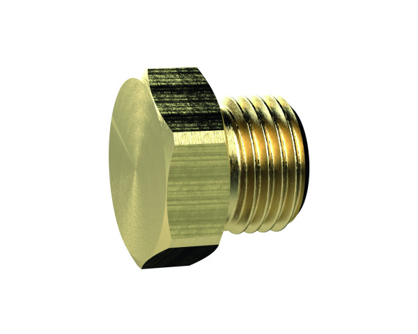 Riegler-Verschlussschrauben 1/4" m. Aussensechskant